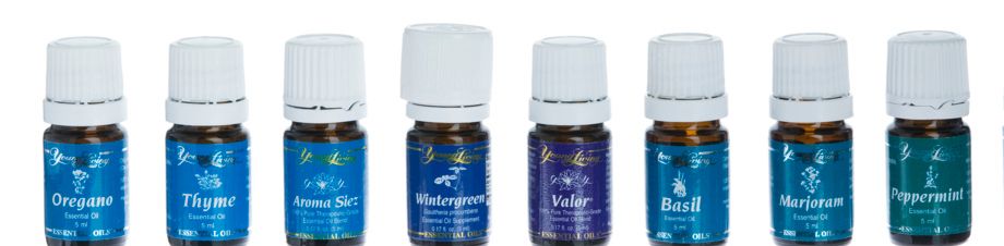 Rhythmische Verteilung der ätherischen Öle von Young Living (Fußsohle + Rücken) (Raindrop nach G. Young)
90 Minuten               